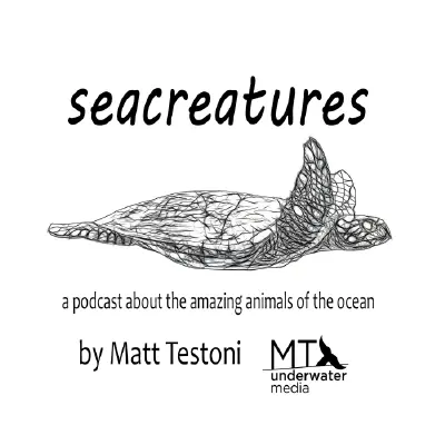 Podcast cover