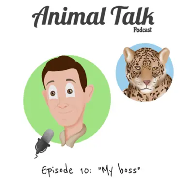 Episode cover