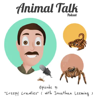 Episode cover