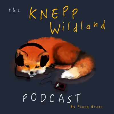 Podcast cover