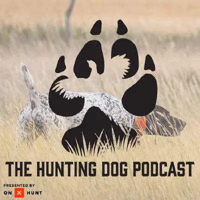 Podcast cover