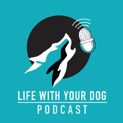Podcast cover