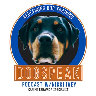 Podcast cover