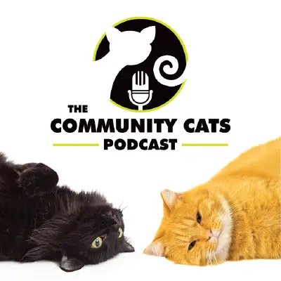 Podcast cover