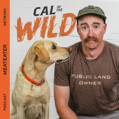 Podcast cover