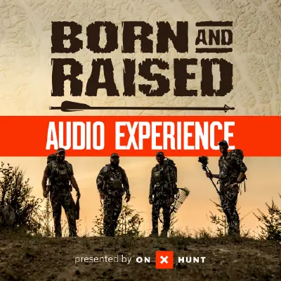 Episode cover