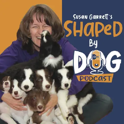 Podcast cover