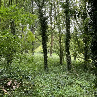Episode cover