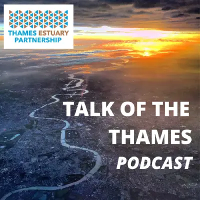 Podcast cover